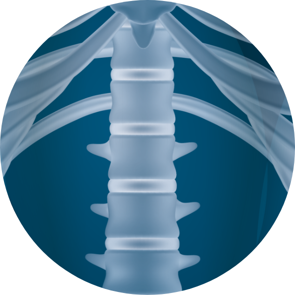 Patología de la columna vertebral